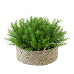 Faux Rosemary Grass in Large Seagrass Tray Basket