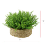 Faux Rosemary Grass in Large Seagrass Tray Basket