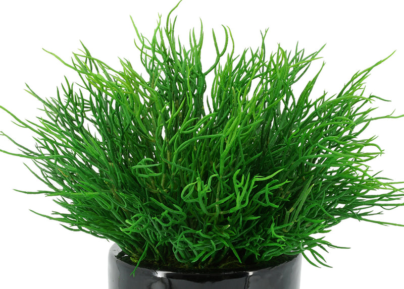 Faux Saltwort (Land Seaweed)