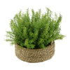 Faux Rosemary Grass in Small Seagrass Tray Basket