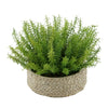 Faux Rosemary Grass in Small Seagrass Tray Basket