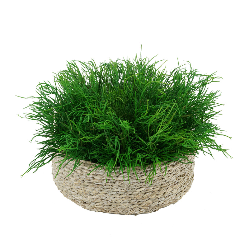 Faux Saltwort in Small Seagrass Tray Basket