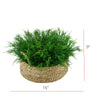 Faux Saltwort in Small Seagrass Tray Basket